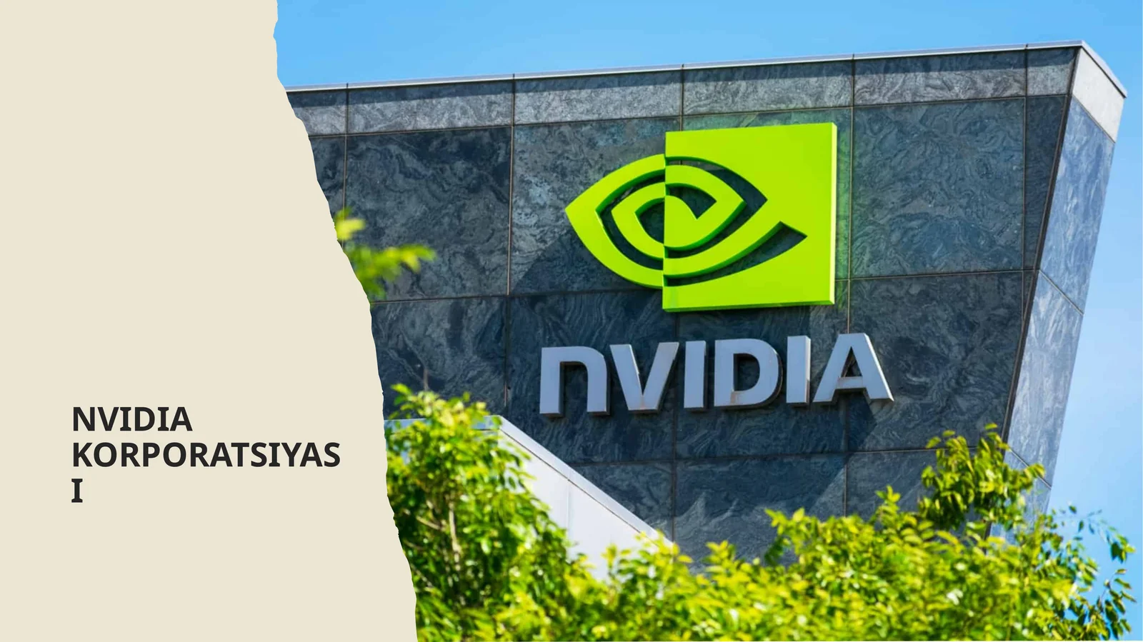 NVIDIA KORPORATSIYASI