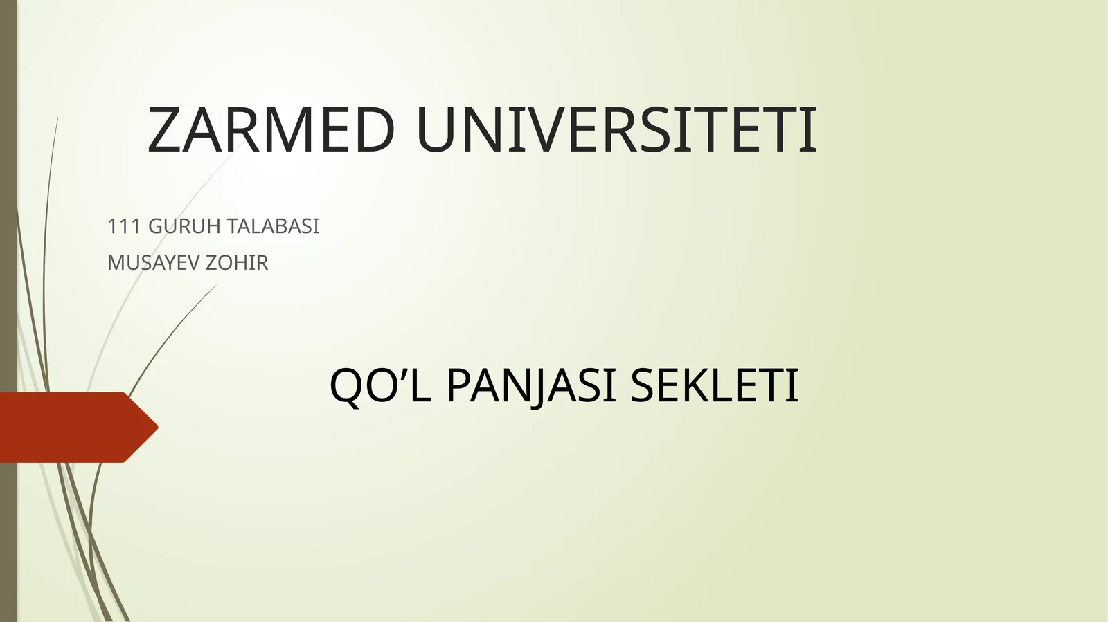 QO’L PANJASI SEKLETI