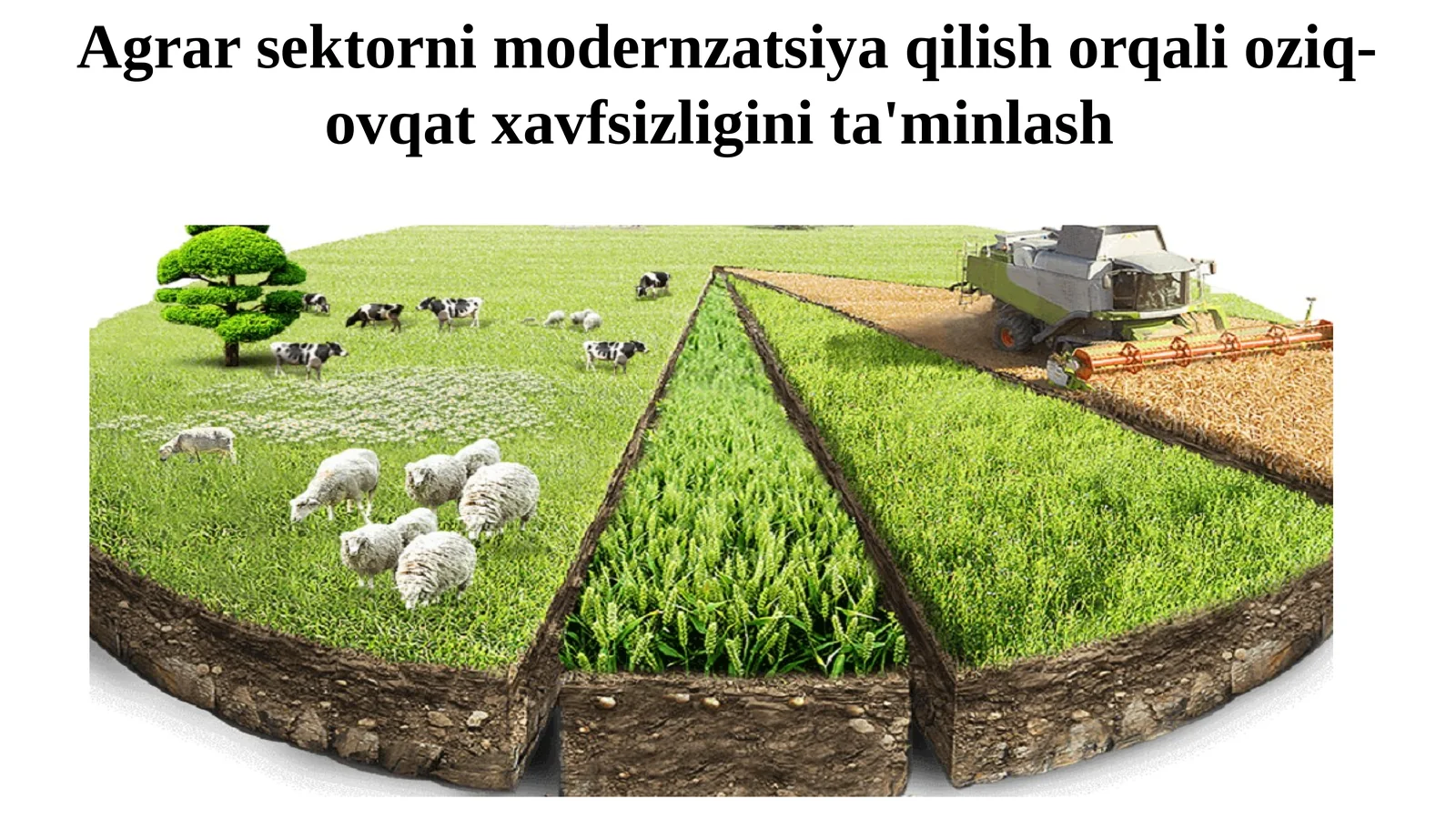 Agrar sektorni modernzatsiya qilish orqali oziq-ovqat xavfsizligini ta'minlash