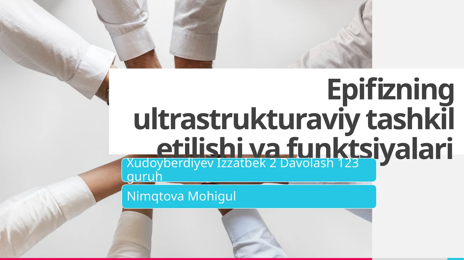 Epifizning ultrabinafsha tuzilishi va funksiyalari