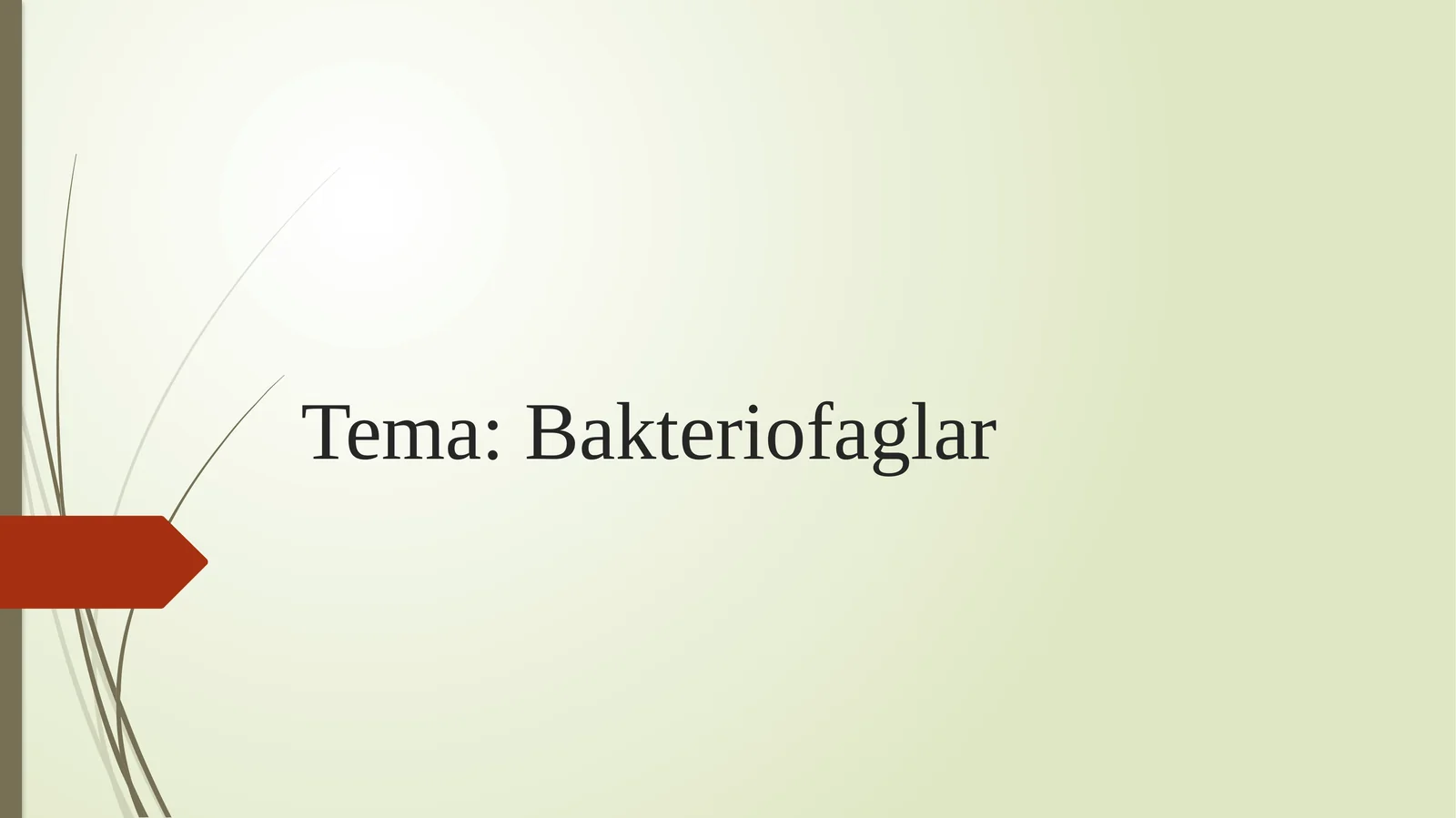 Bakteriofaglar
