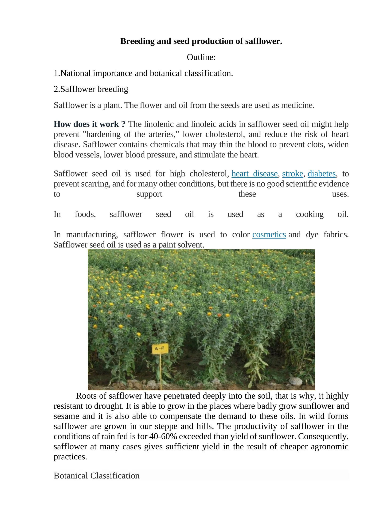 Breeding and seed production of safflower