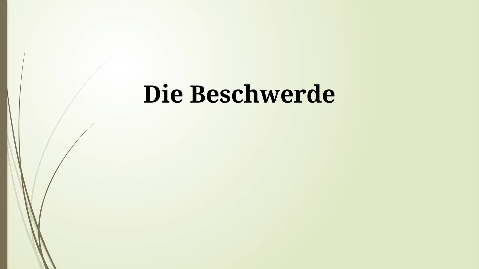 Die Beschwerde