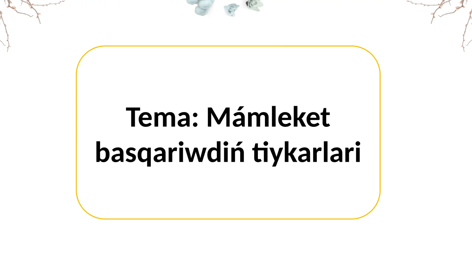 Mámleket basqariwdiń tiykarlari