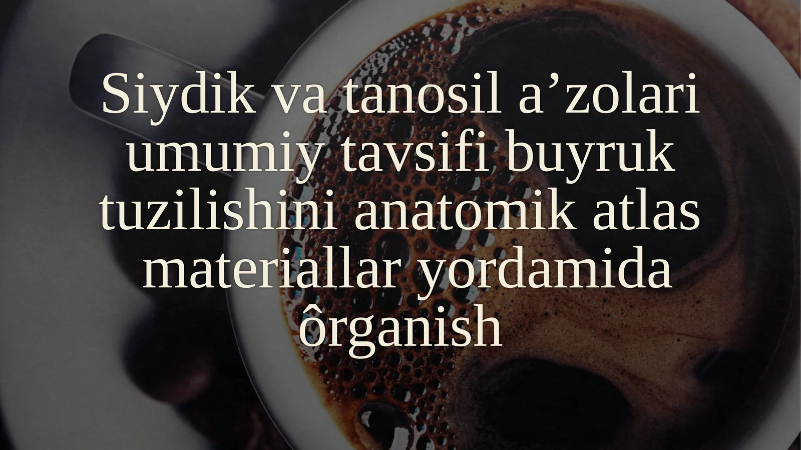 Siydik va tanosil aʼzolari umumiy tavsifi buyruk tuzilishini anatomik atlas materiallar yordamida ôrganish