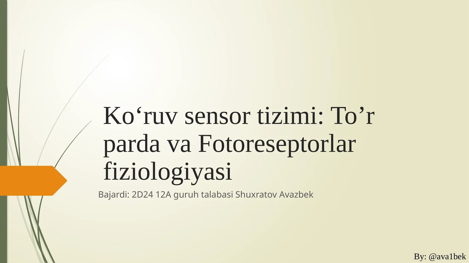 Ko‘ruvsensortizimi:To’rpardavaFotoreseptorlarfiziologiyasi
