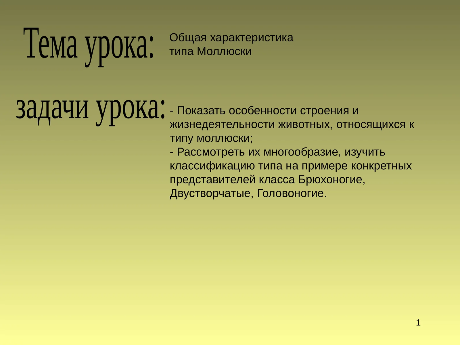 Моллюсклар