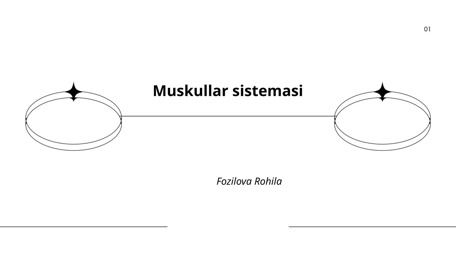 Muskullar sistemasi