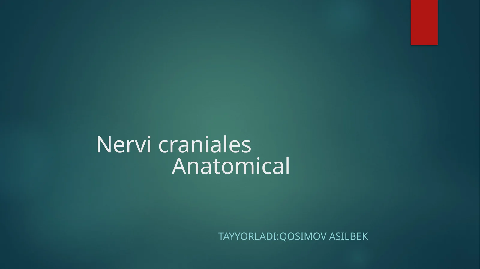 Nervi cranialesAnatomical