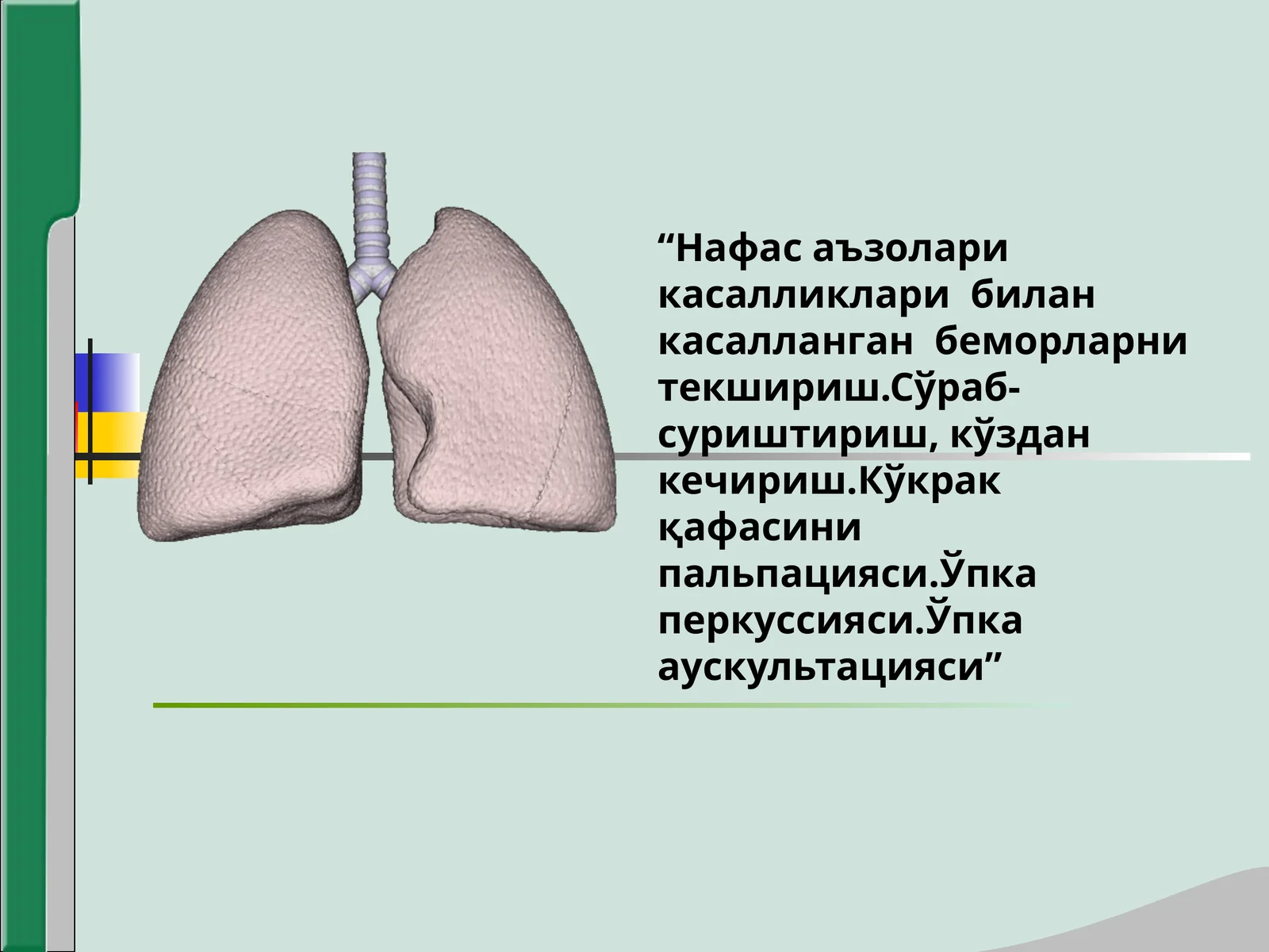 Нафас аъзолари касалликлари билан касалланган беморларни текшириш