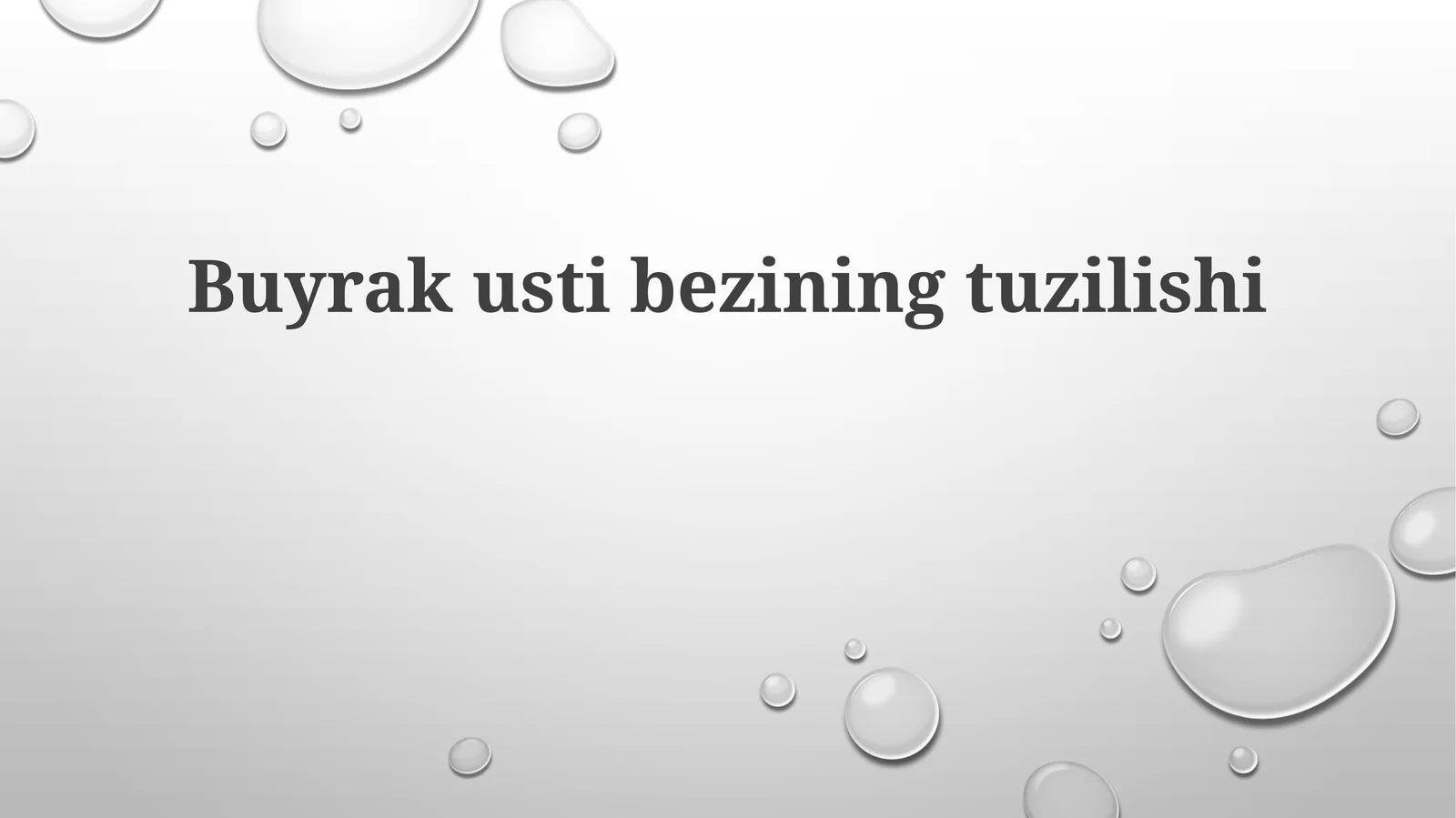 Buyrakustibeziningtuzilishi