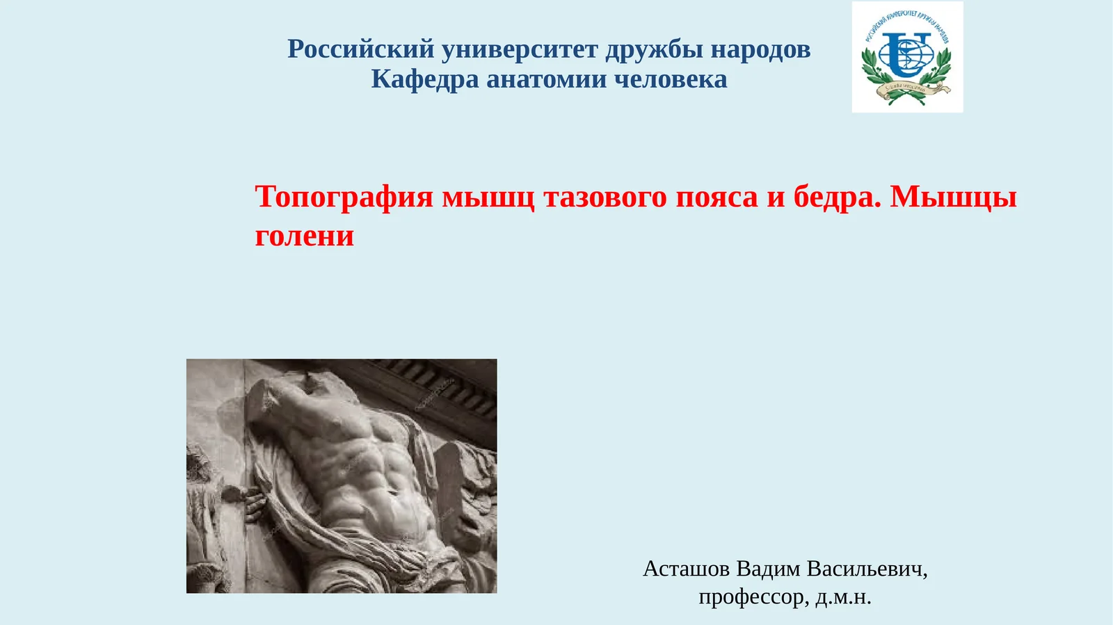 Мышцы тазового пояса