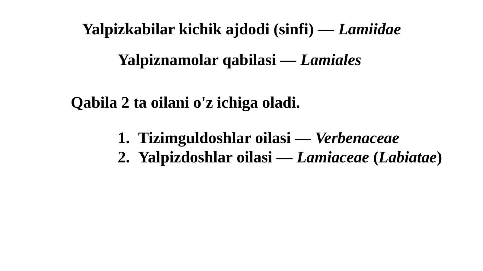 Yalpizkabi lar kichik ajdodi (sinfi) - Lamiidae