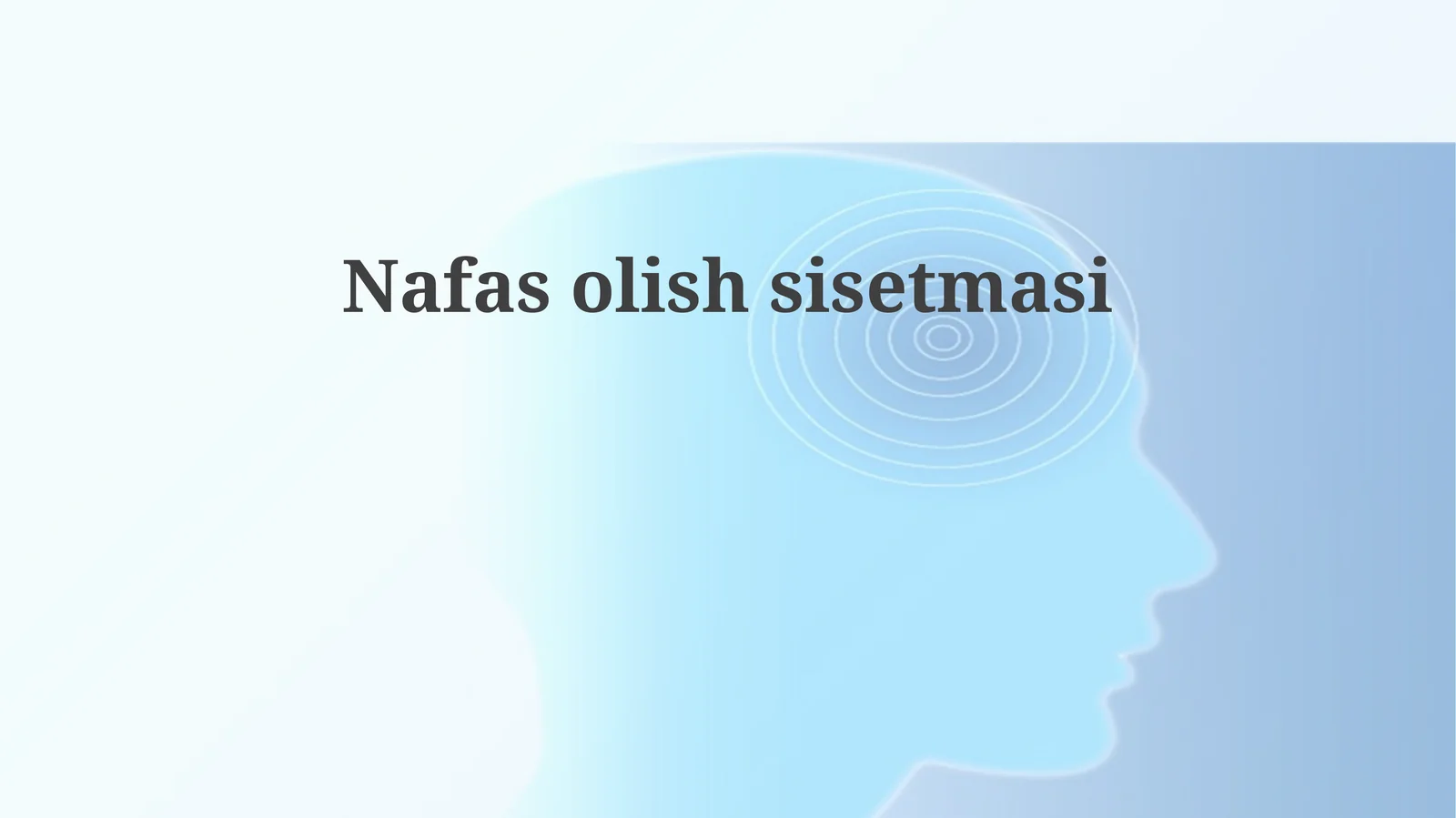 Nafasolishsisetmasi