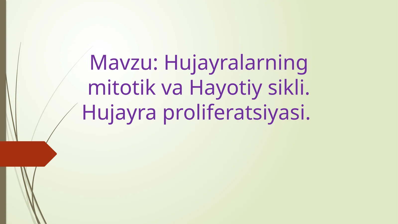 Hujayralarning mitotik va Hayotiy sikli. Hujayra proliferatsiyasi