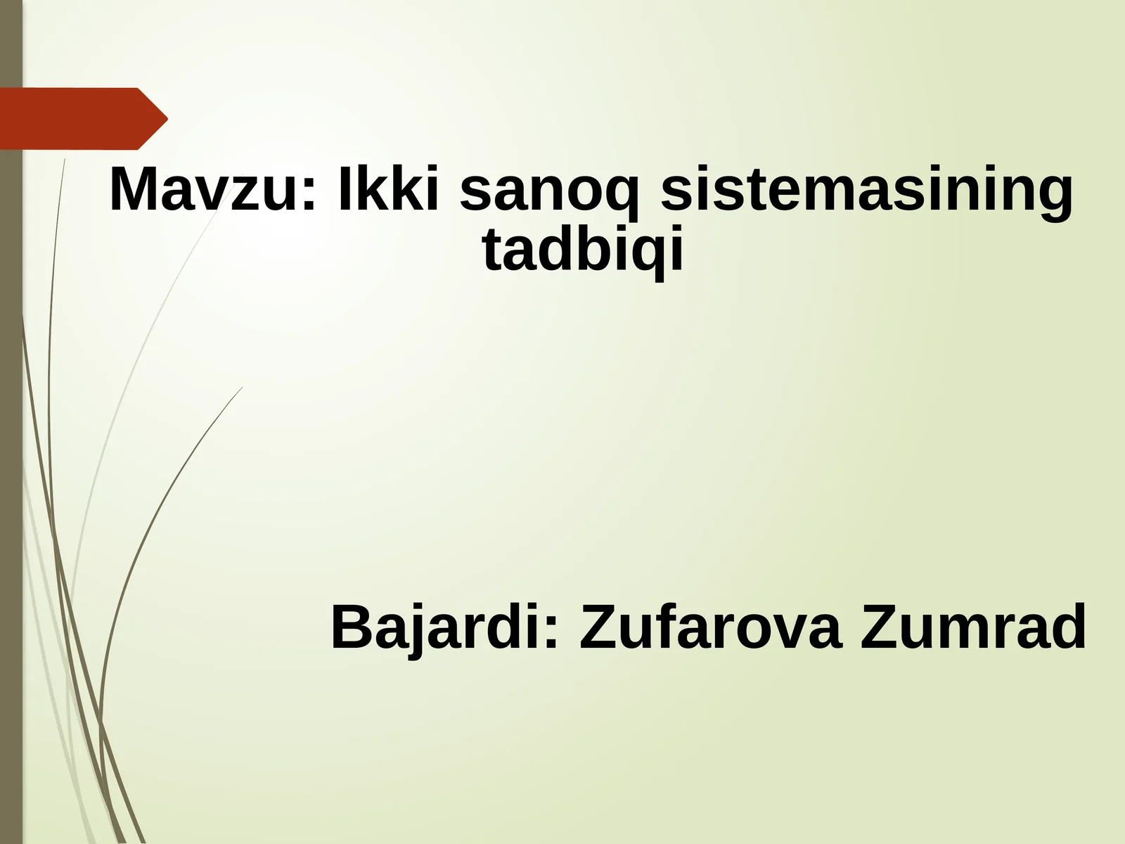 Ikki sanoq sistemasining tadbiqi