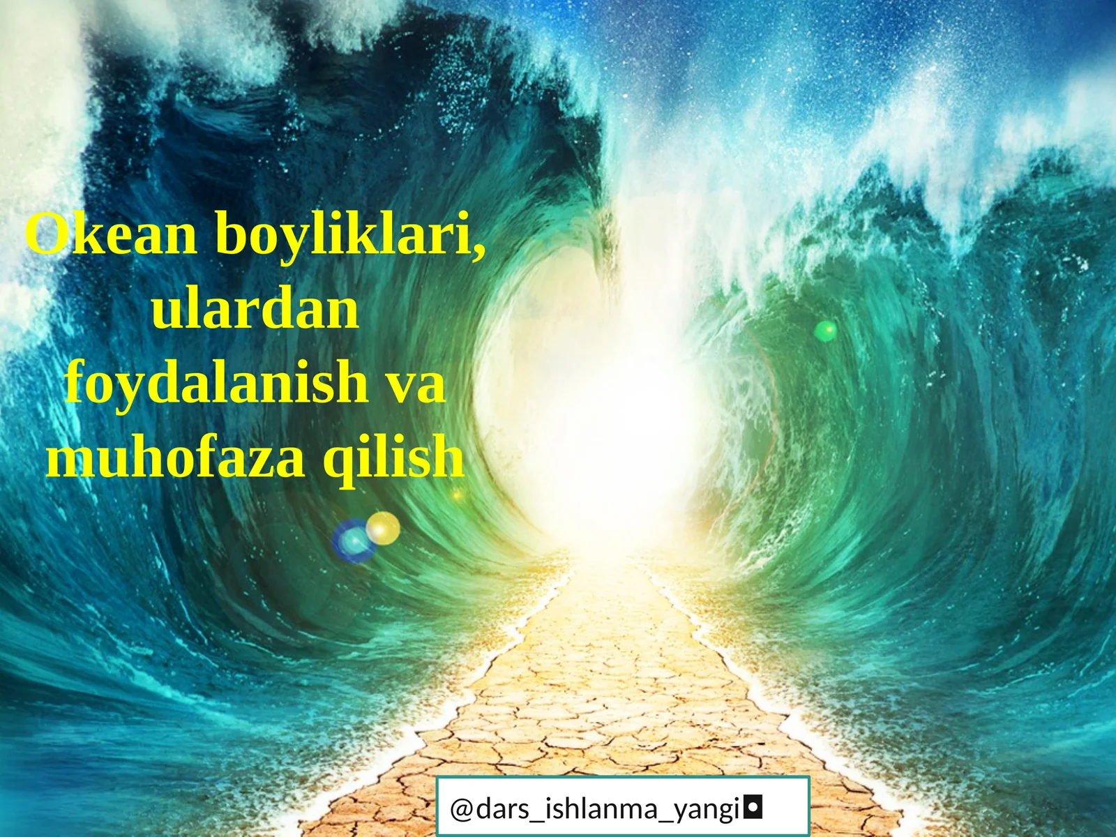 Okean  boyliklari,  ulardan  foydalanish  va  muhofaza  qilish