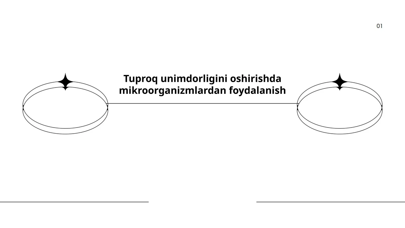 Tuproq unimdorligini oshirishda mikroorganizmlardan foydalanish
