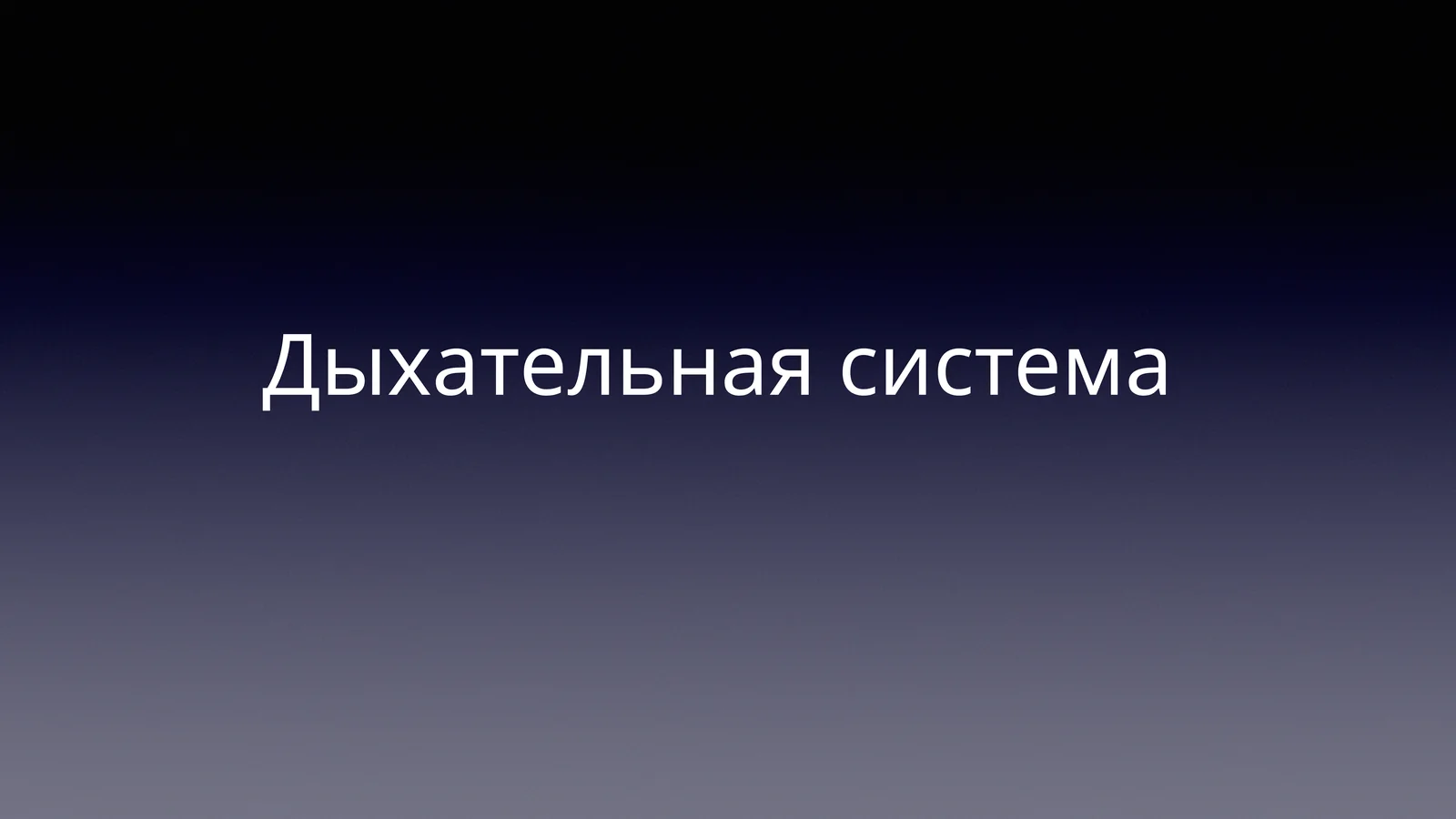 Дыхательная система