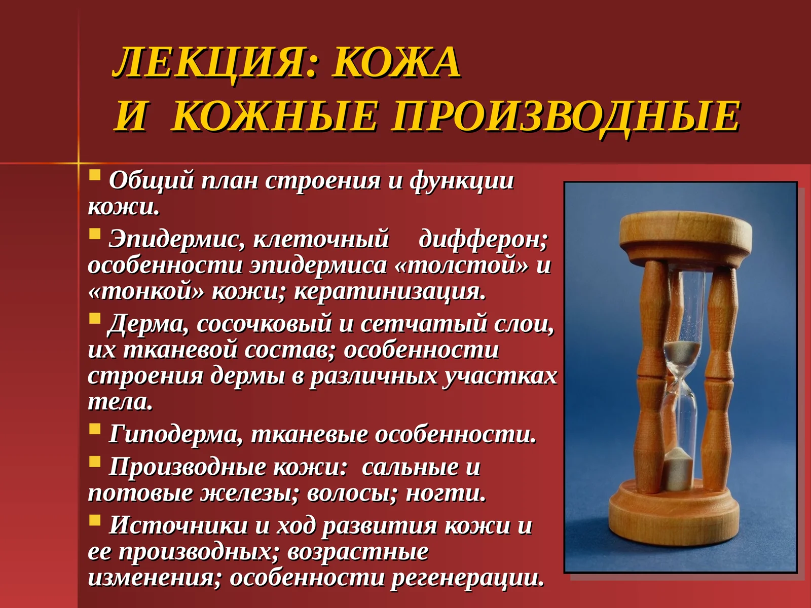 Кожаи кожные производные