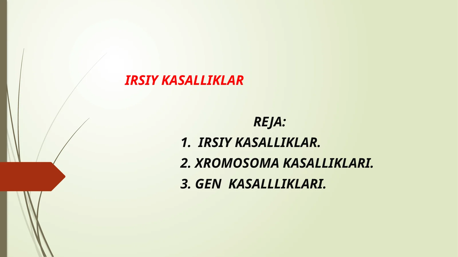 IRSIY KASALLIKLAR