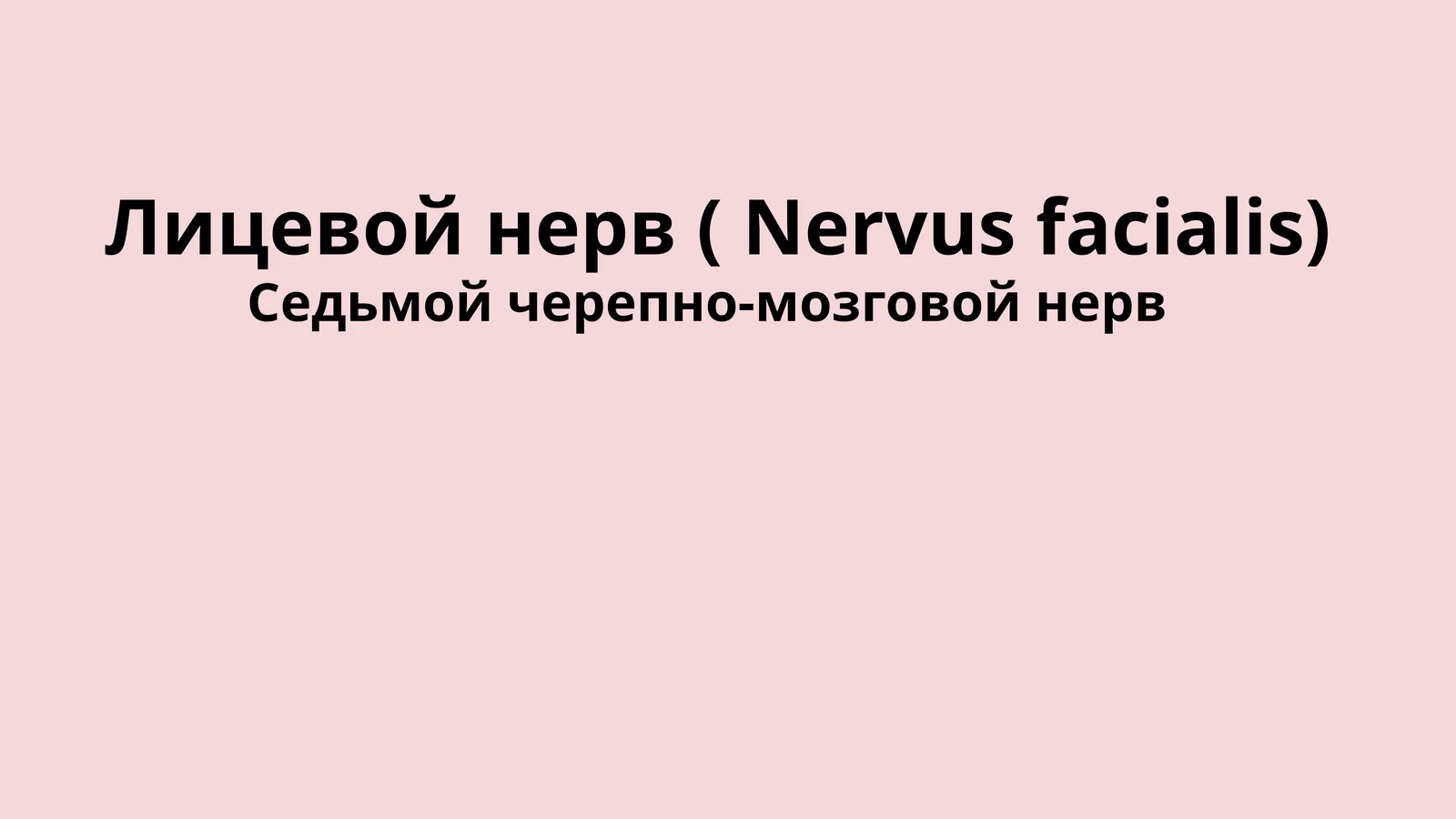 Лицевой нерв ( Nervus facialis)