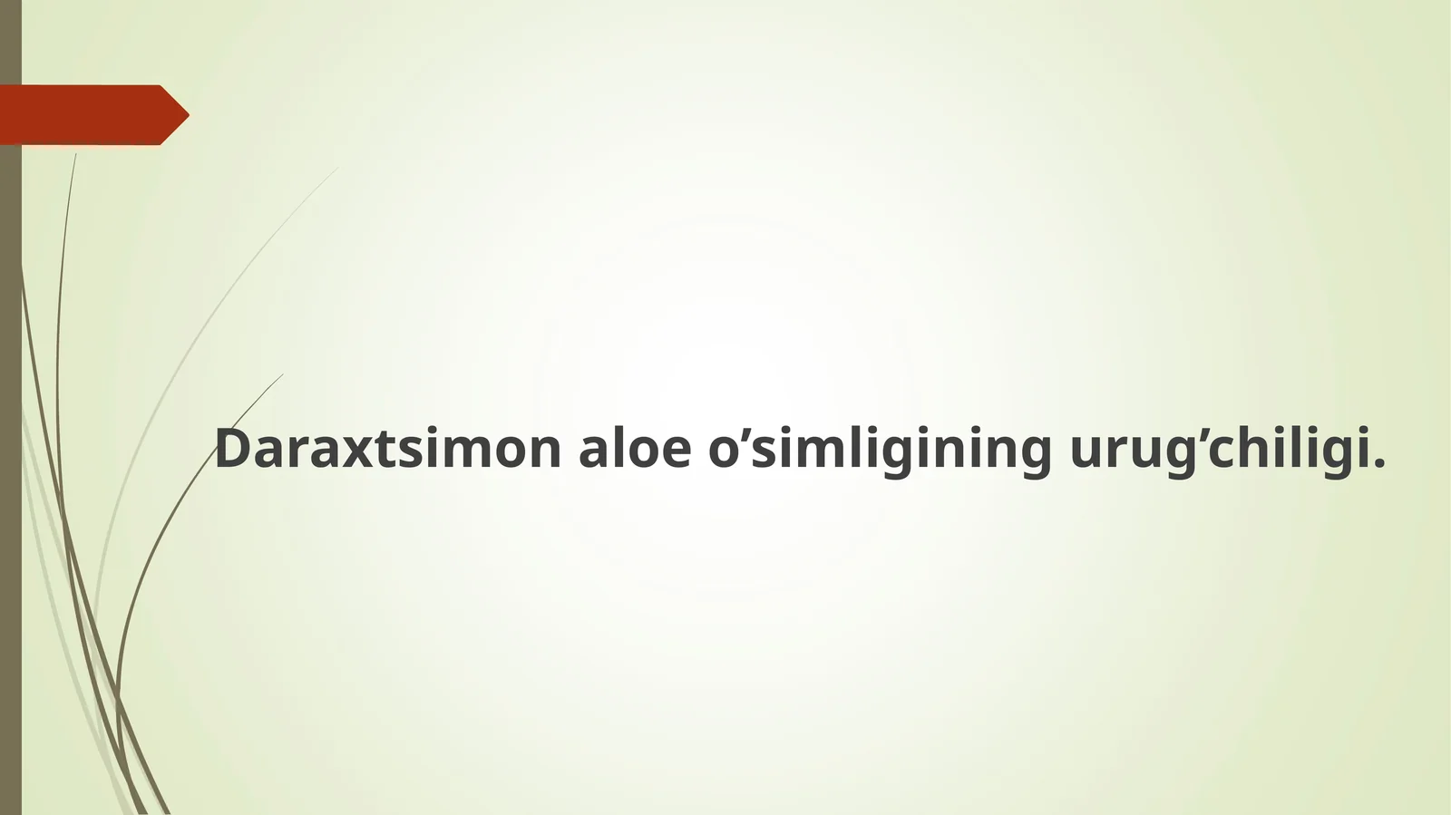 Daraxtsimon aloe o'simligi