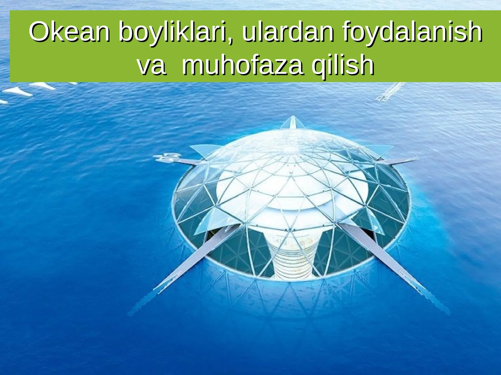 Okean boyliklari, ulardan foydalanish va muhofaza qilish