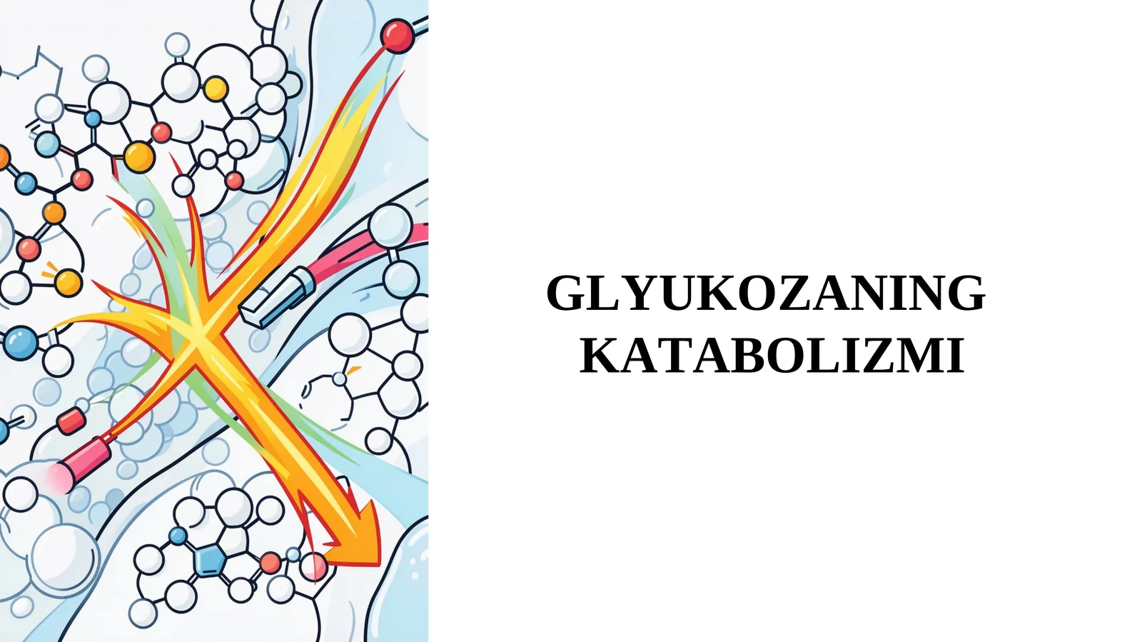GLYUKOZANING KATABOLIZMI