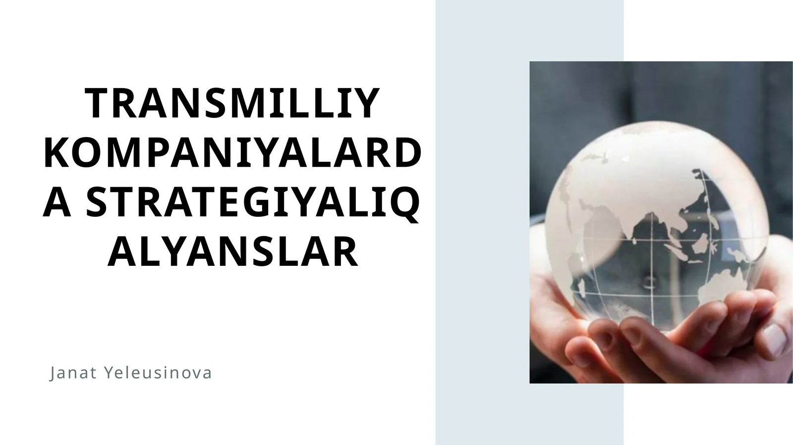 Transmilliy kompaniyalarda strategiyalıq alyanslar