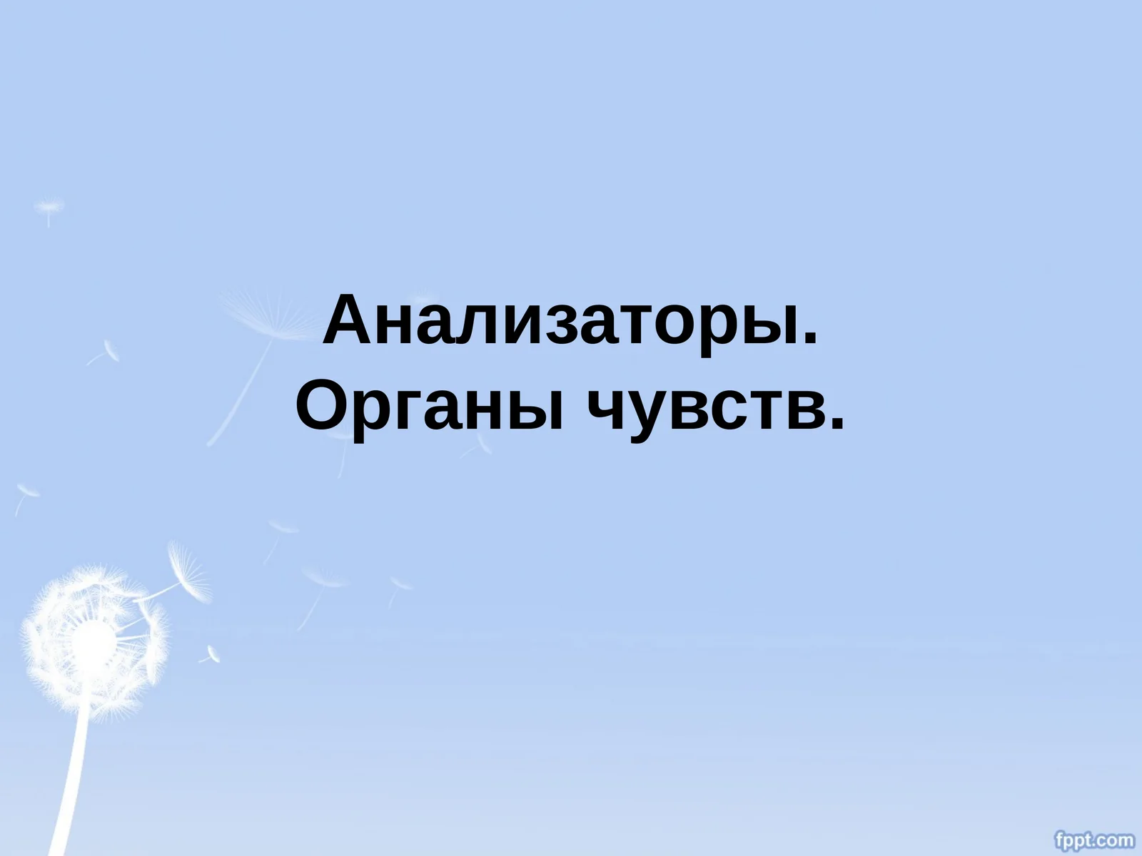 Анализаторы.Органы чувств