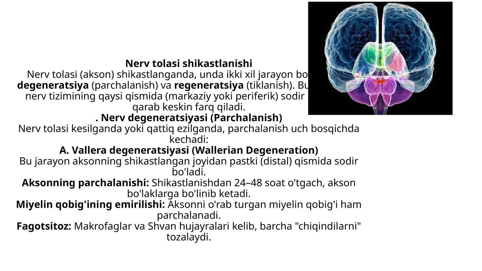 Nerv tolasining shikastlanishi