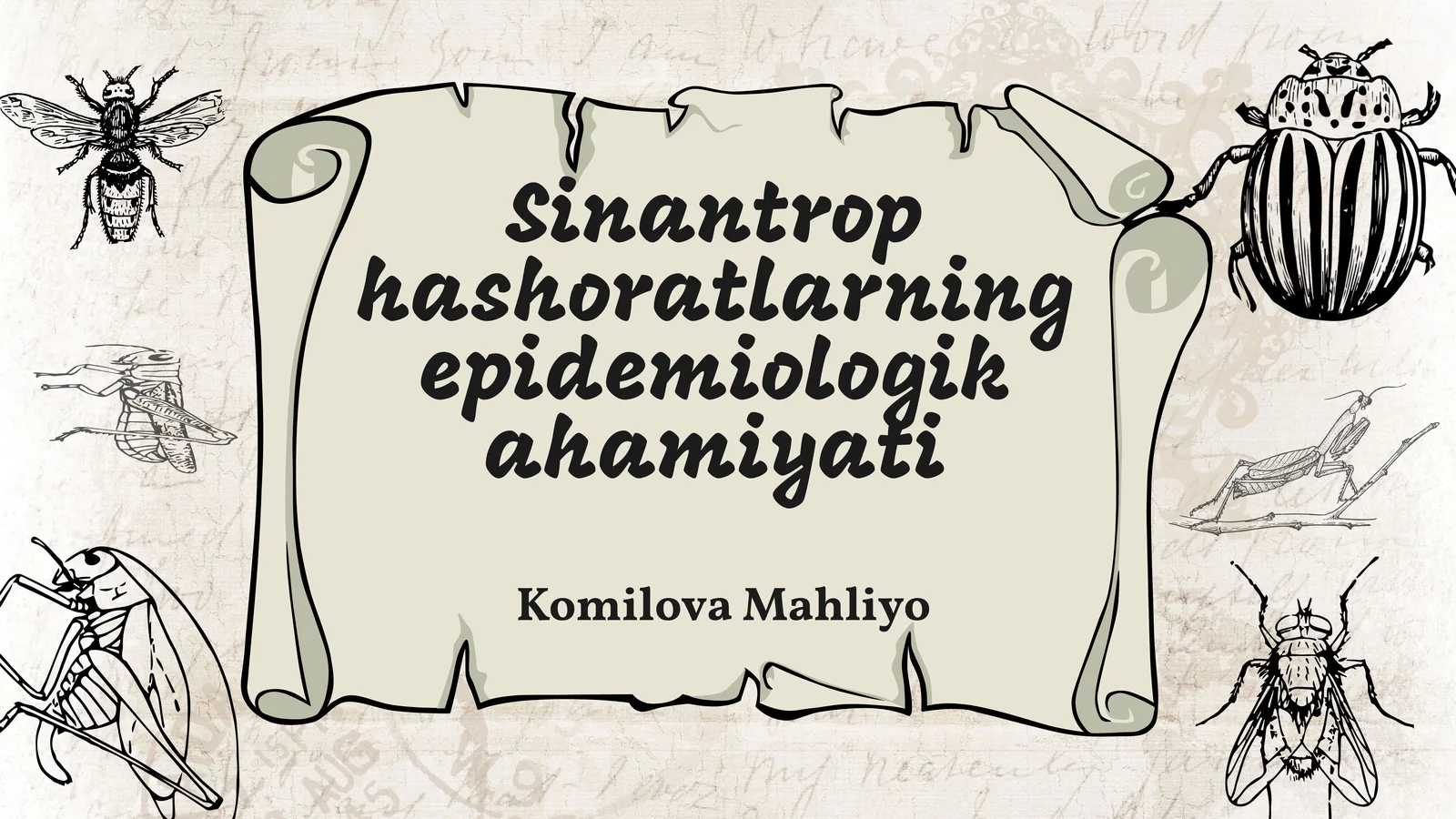Sinantrop hashoratlarning epidemiologik ahamiyati