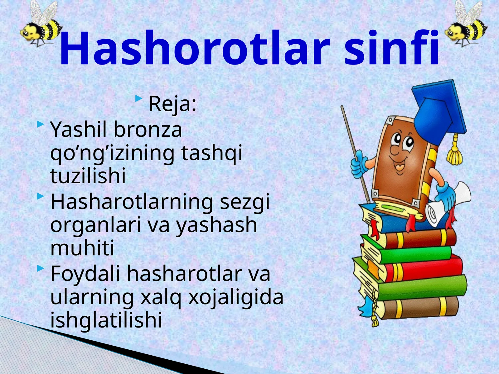 Yashilbronzaqo’ng’iziningtashqituzilishi