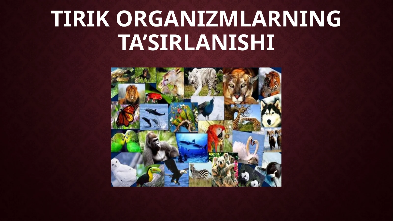 TIRIK ORGANIZMLARNING TA’SIRLANISHI