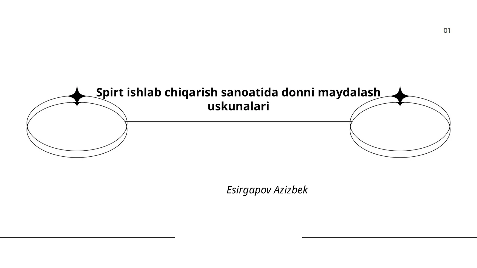 Spirt ishlab chiqarish sanoatida donni maydalash uskunalari