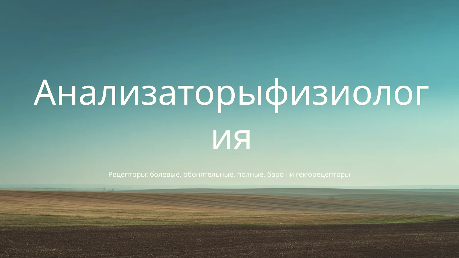 Анализаторыфизиология