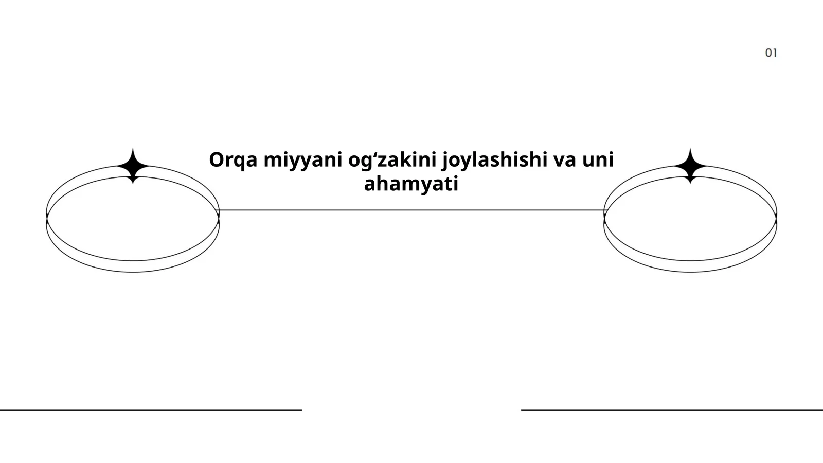 Orqa miyyani ogʻzagining anatomik joylashishi bosh miya va umurtqa pogʻonasi kontekstida