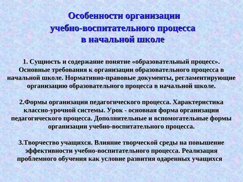 Особенности организации учебно-воспитательного процесса в начальной школе