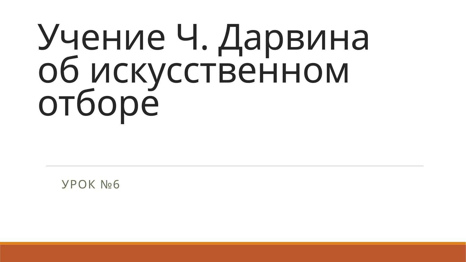 Дикая утка кряква