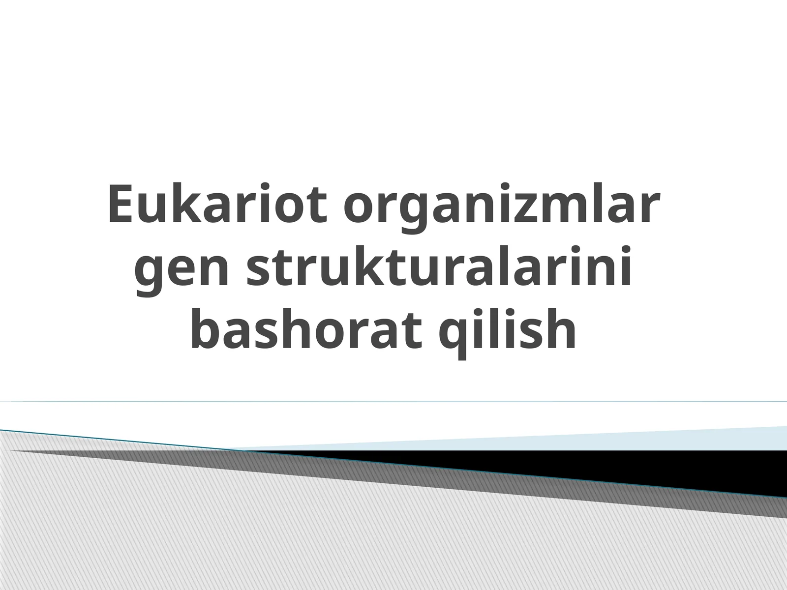 Eukariot organizmlar gen strukturalarini bashorat qilish