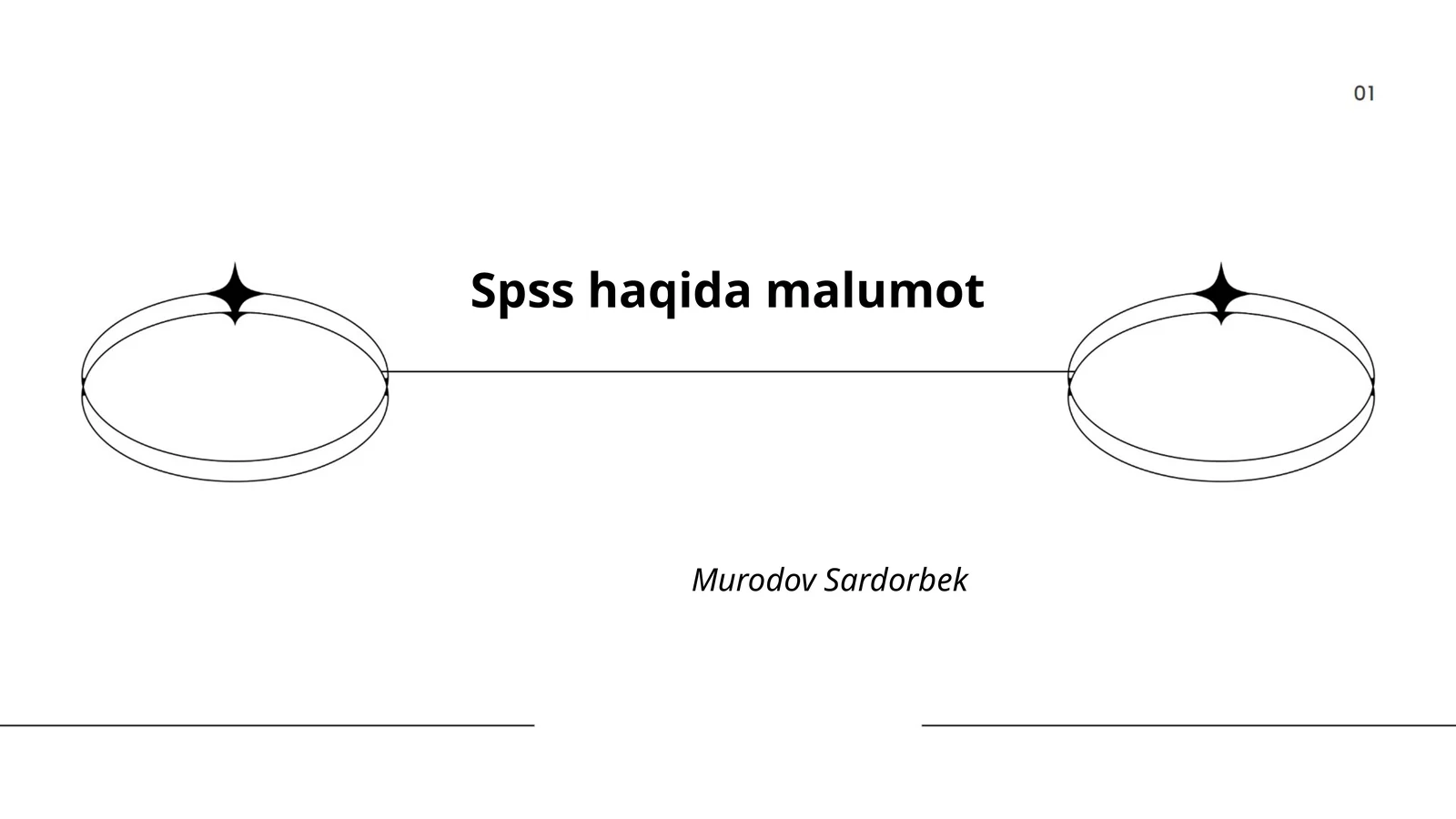 SPSS haqida malumot