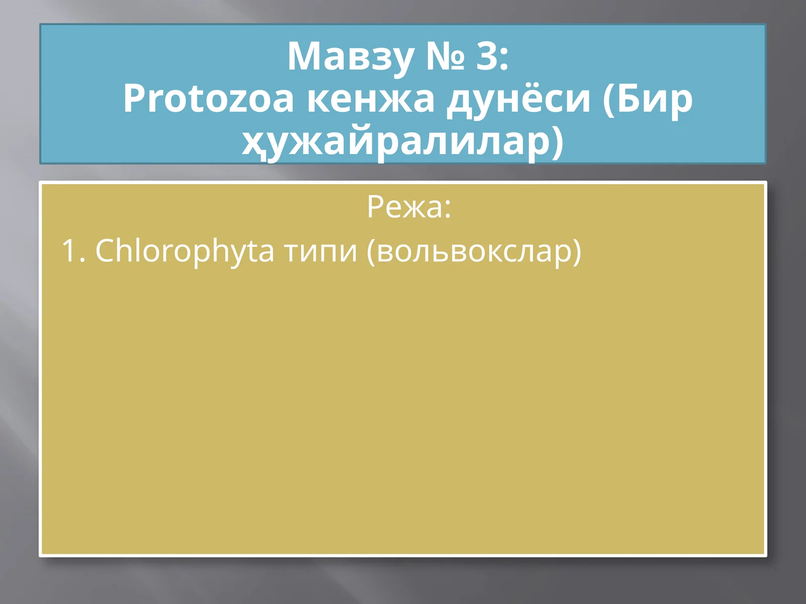 Protozoa кенжа дунёси (Бир ҳужайралилар)
