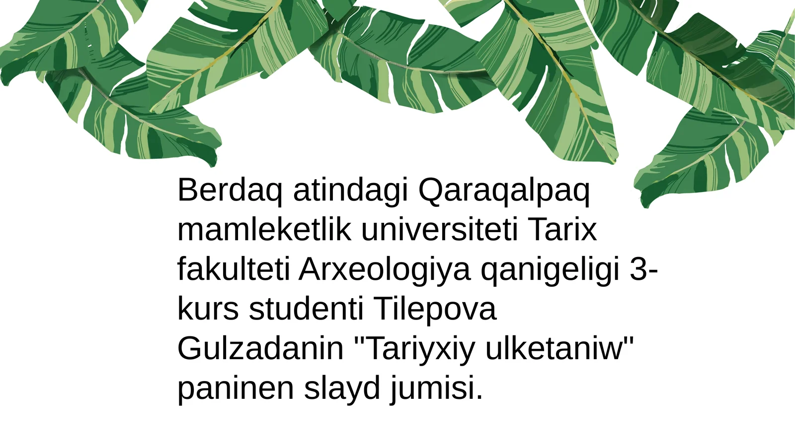 U'lketaniwdajan'amuzeylardin' orni