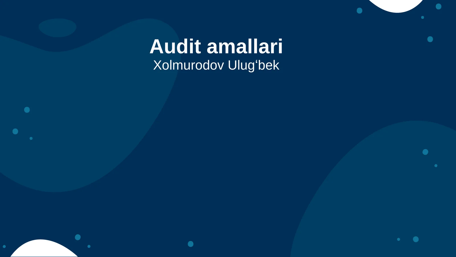 Audit amallari