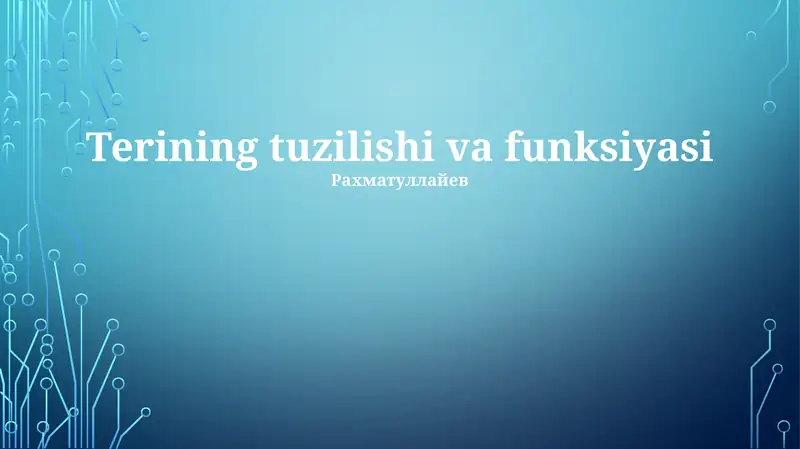 Terining tuzilishi va funksiyasi