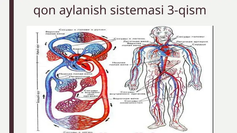 qonaylanish sistemasi 3-qism