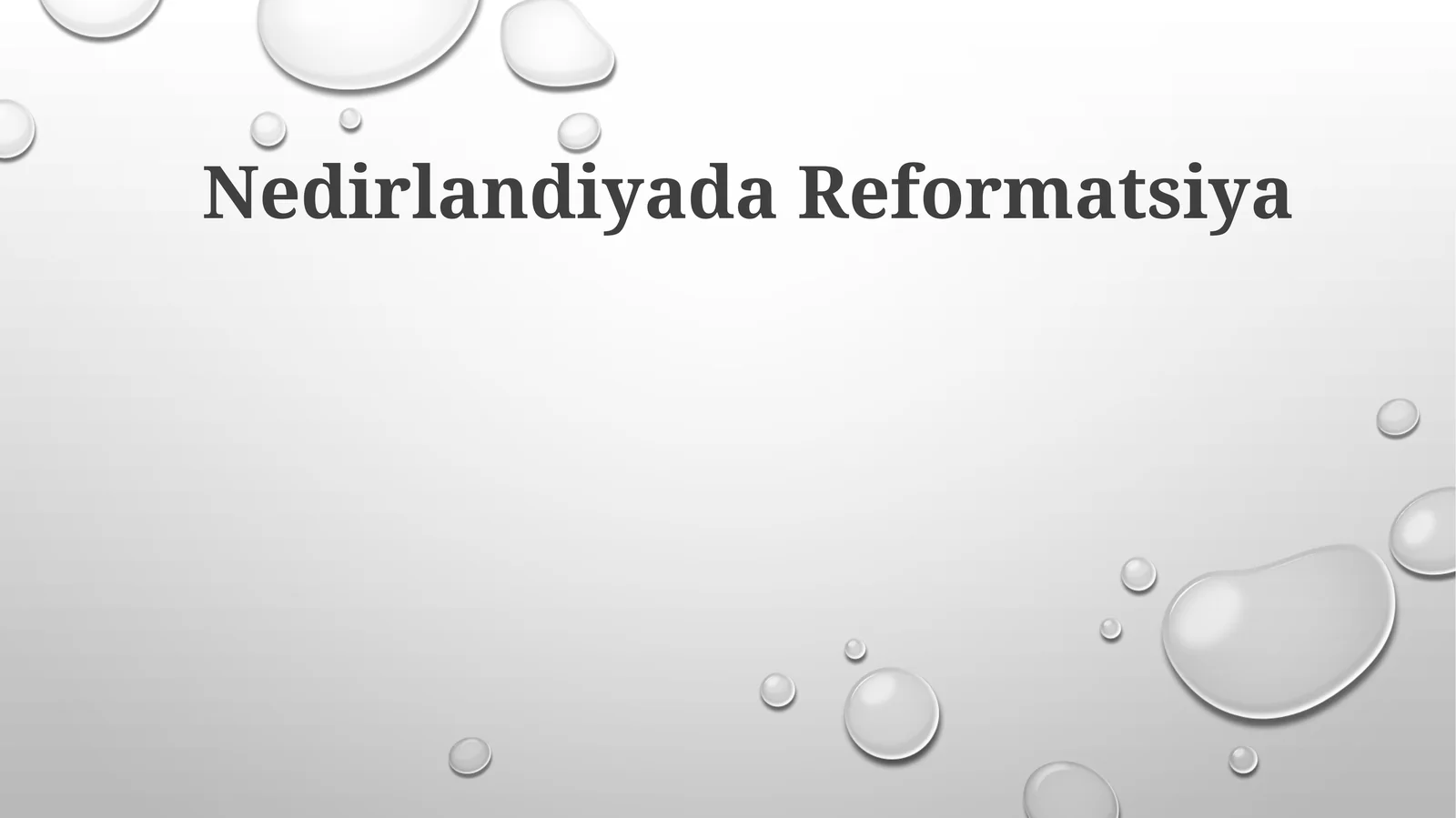 Nedirlandiyada Reformatsiya