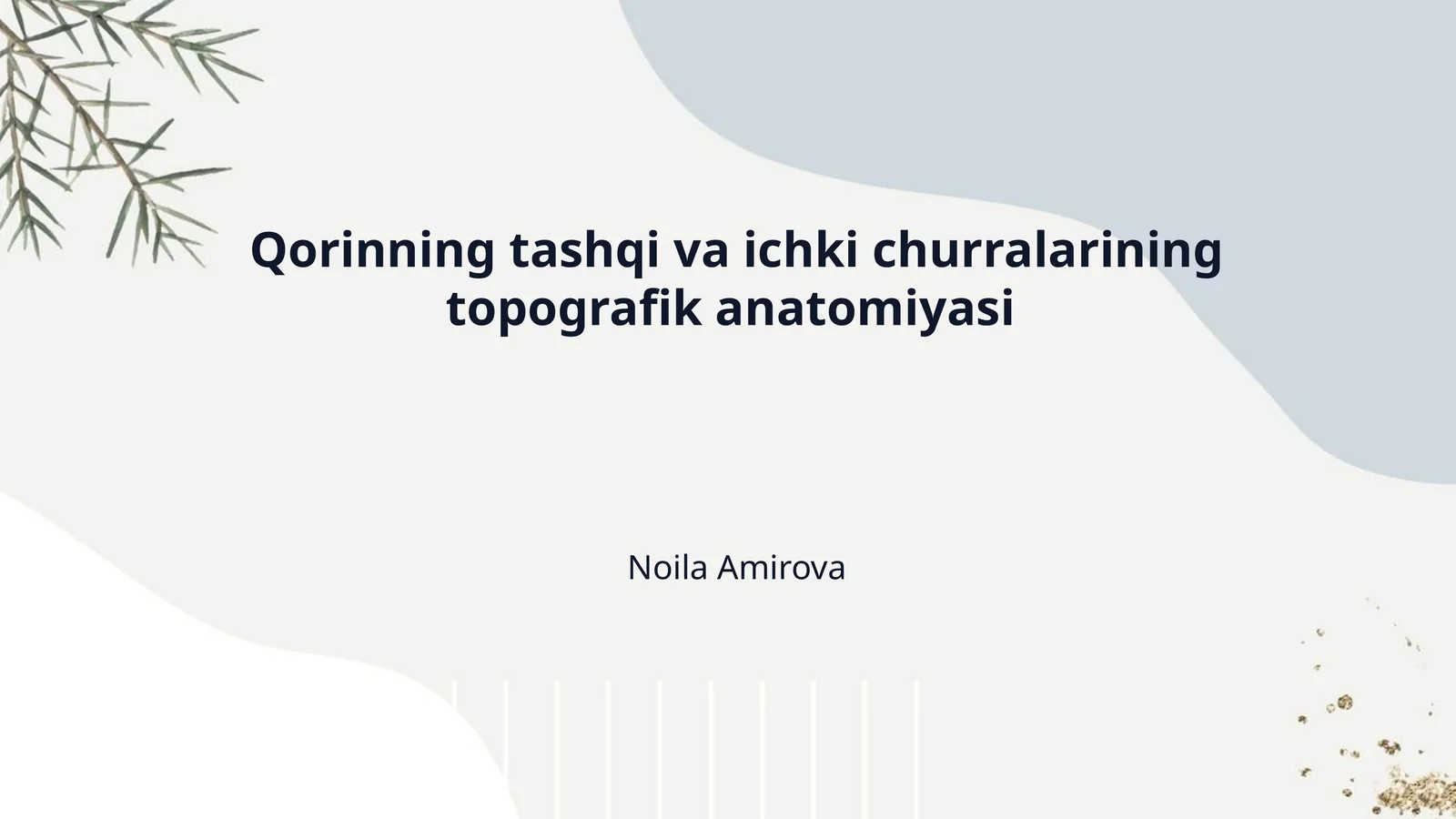Qorinning tashqi va ichki churralarining topografik anatomiyasi