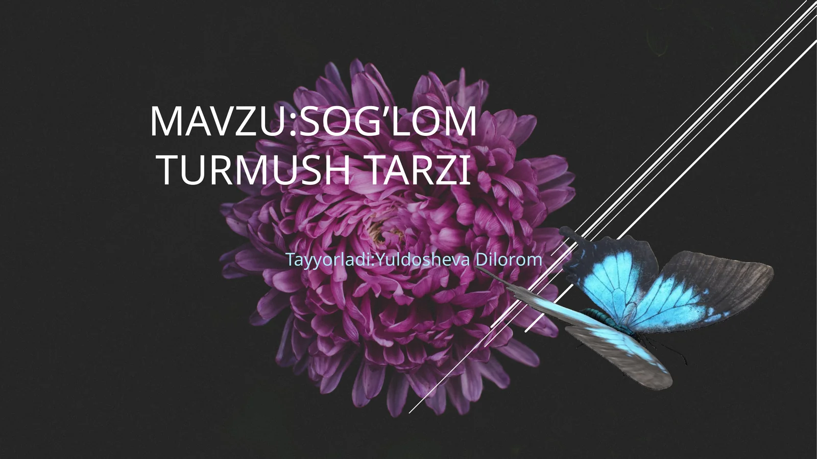 sog’lomturmushtarzi